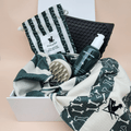 Pet care product set with a green towel, brush, dog shampoo and lick mat displayed in a  gift box 