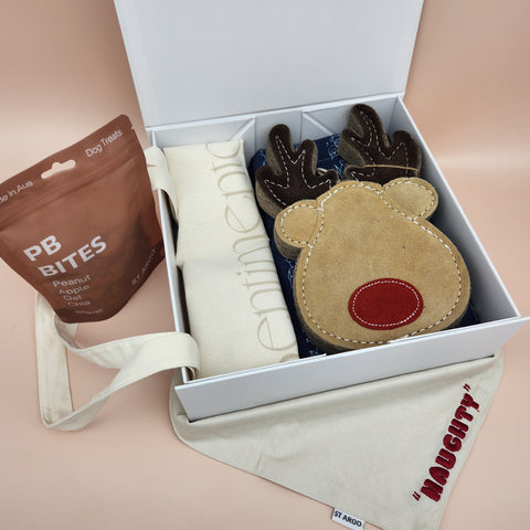 Close-up of premium dog gift box featuring ST ARGO natural dog treats, reversible Naughty/Nice bandana and Conscious Pet Co. christmas dog toy. 